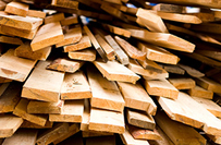 Holz & Holzwerkstoffe