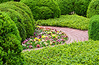 Garten- und Landschaftsbau